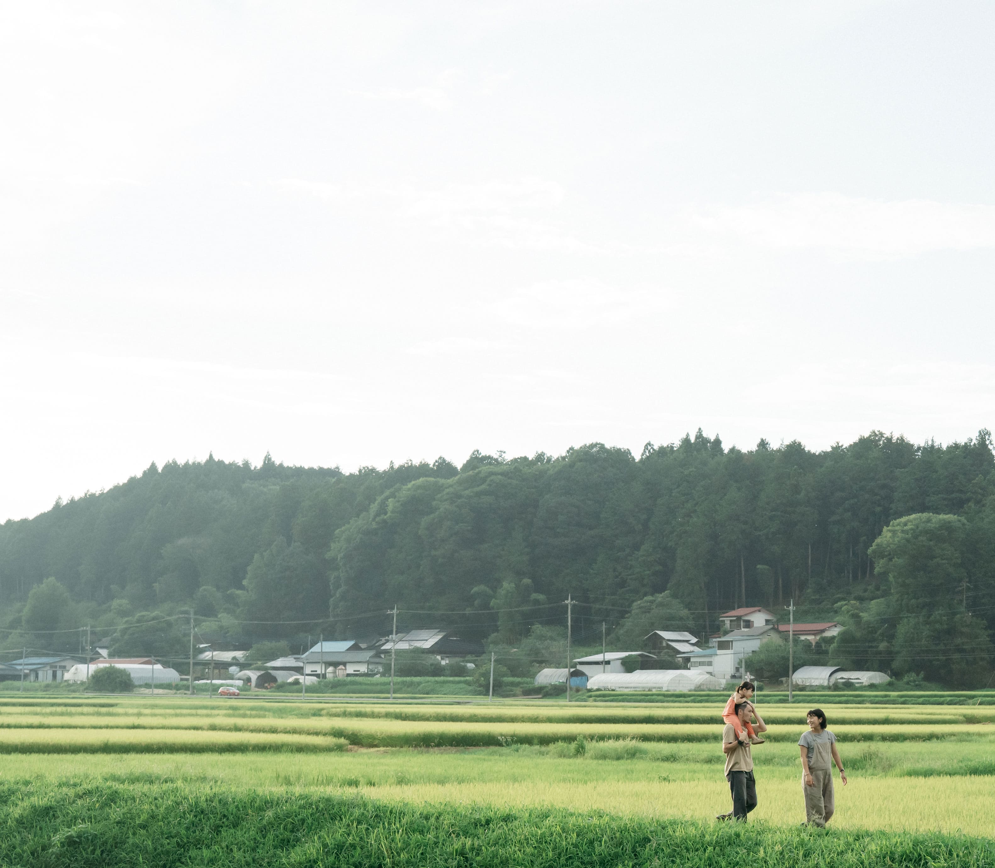 移住の流れイメージ